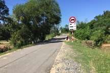 Tử vong vì tông vào bò sau chầu nhậu?