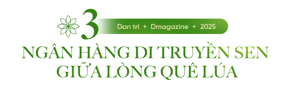 Hoa sen vươn mình giữa đất cằn để những miền quê Việt thêm nhà lầu, xe hơi - 11 Hoa sen vươn mình giữa đất cằn để những miền quê Việt thêm nhà lầu, xe hơi - 11