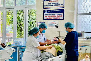 Ong mật tấn công khiến 5 người trong gia đình đi cấp cứu