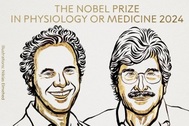 Giải Nobel Y sinh 2024 vinh danh nghiên cứu về microRNA