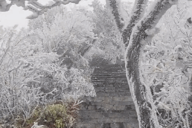 Sự thật về con đường băng giá trắng xóa ở Việt Nam khiến du khách tìm kiếm