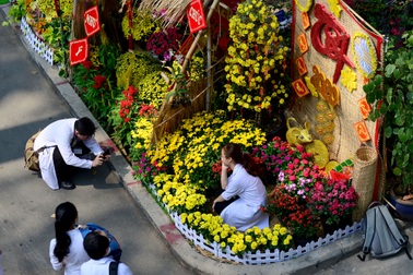 Ngắm đường hoa xuân rực rỡ trong khuôn viên bệnh viện