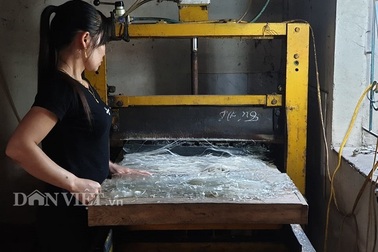 Điện Biên: Phất lên từ nghề làm miến dong ngon nức tiếng