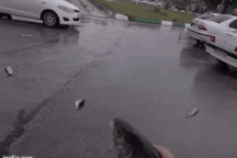 Bí ẩn nguồn gốc những "cơn mưa cá"