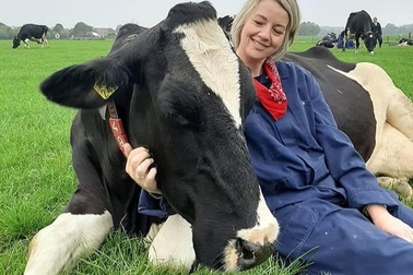 Đổ xô đi... “ôm bò” để học cách vui sống