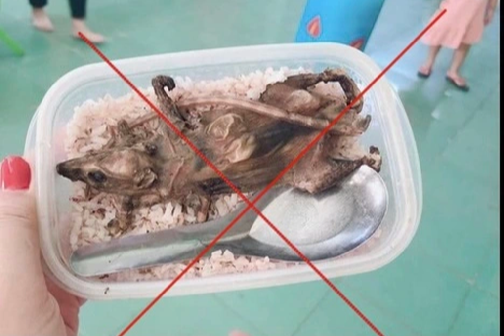 Vụ hộp cơm chỉ có món thịt chuột: Không chính xác, sai sự thật - 1 Vụ hộp cơm chỉ có món thịt chuột: Không chính xác, sai sự thật - 1