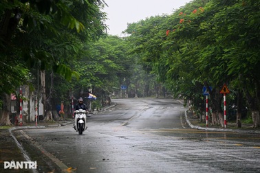 Nhiều công ty kích hoạt làm việc online trong 2 ngày để tránh bão Wipha