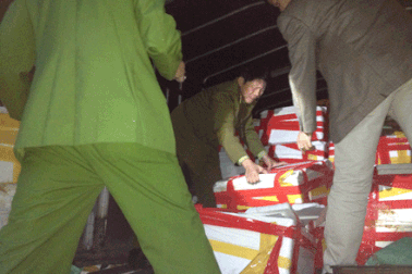 Nửa tấn cá quả, ếch Trung Quốc đổ bộ về Hà Nội