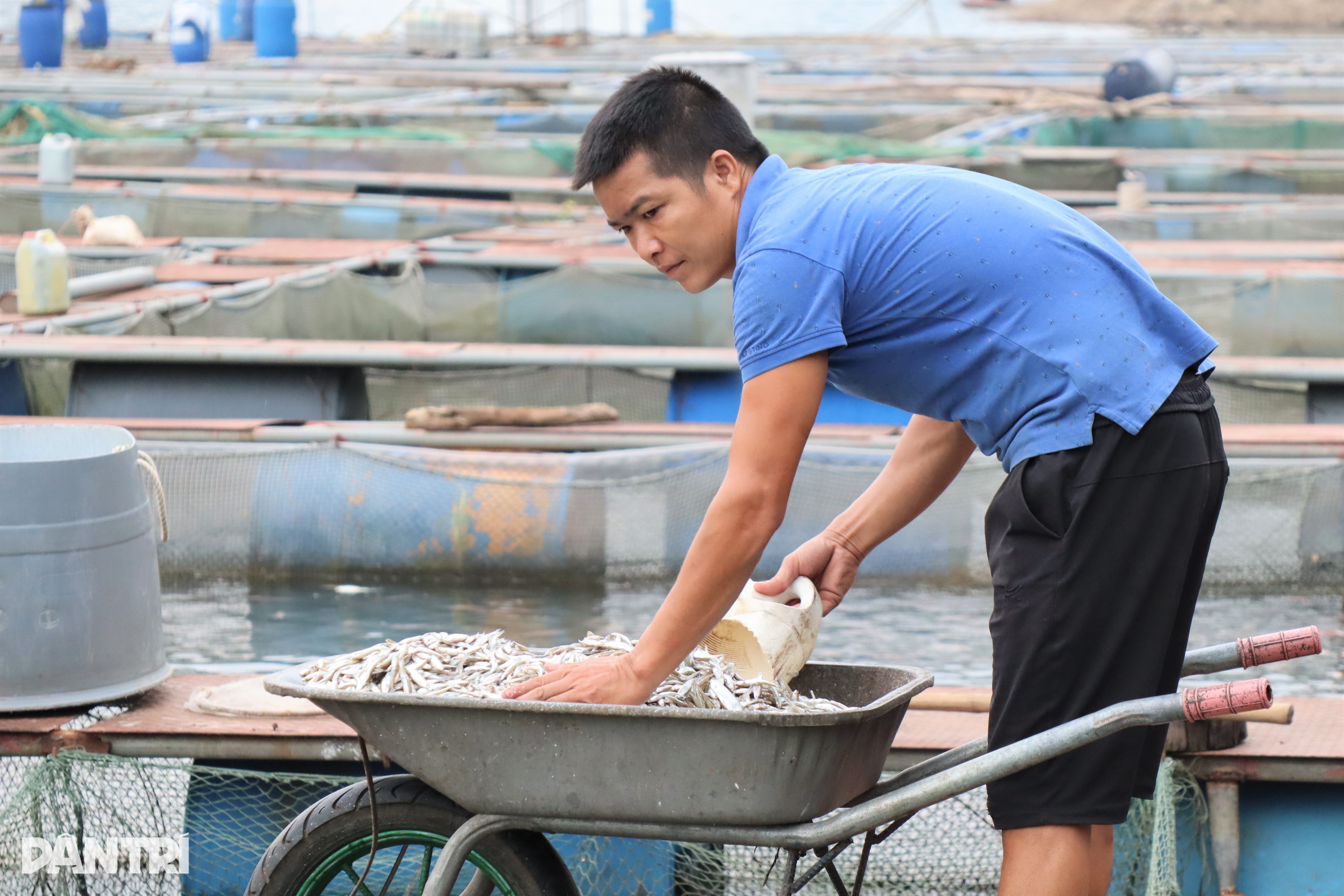 រស់រសាត់កណ្តាលបឹងវារីអគ្គិសនី - ៧ Sống lênh đênh giữa lòng hồ thủy điện - 7
