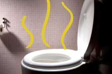 7 lý do khiến nước tiểu có mùi “lạ”