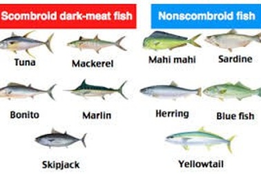 Histamine: Chất sinh học, gây dị ứng và nhiễm độc?