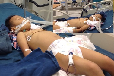 Bác sĩ khẩn thiết mong bạn đọc dang tay cứu mạng gia đình ngộ độc nấm rừng