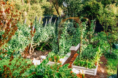 Nhiếp ảnh gia làm vườn nông sản sạch, chinh phục cả trăm loại trái cây