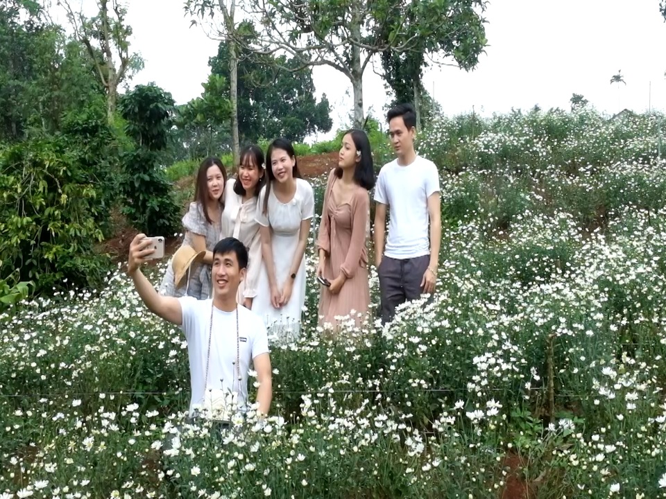 Du khách thích thú trải nghiệm vẻ đẹp vườn cúc họa mi trên vùng “đất lửa”! - 8 Du khách thích thú trải nghiệm vẻ đẹp vườn cúc họa mi trên vùng “đất lửa”! - 8