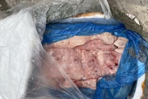 Gần 10 tấn thực phẩm bẩn suýt tuồn ra thị trường