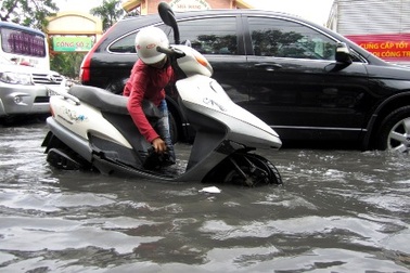 TPHCM: Kiểm tra toàn diện các doanh nghiệp công ích