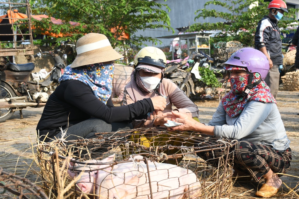 Độc đáo nghề... bồng heo thuê - 8 Độc đáo nghề... bồng heo thuê - 8