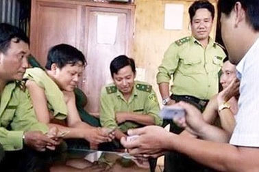 Kiểm lâm đánh bài kiếm tiền uống nước