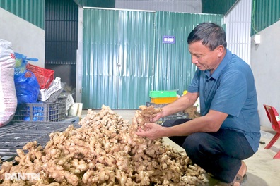 Người đưa rau quê vào siêu thị, tạo sinh kế cho hàng trăm hộ