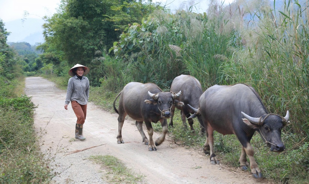 Giảm lãi suất cho vay hộ nghèo - cơ hội để người dân phát triển sinh kế - 1 Giảm lãi suất cho vay hộ nghèo - cơ hội để người dân phát triển sinh kế - 1