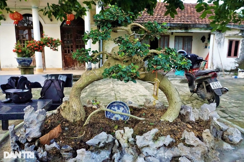 Người thổi hồn vào những gốc duối, ổi, me, bồ đề - 9 Người thổi hồn vào những gốc duối, ổi, me, bồ đề - 9