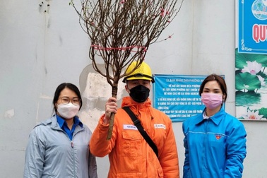Thanh niên Hà Nội mang đào Nhật Tân đến tặng F0, F1