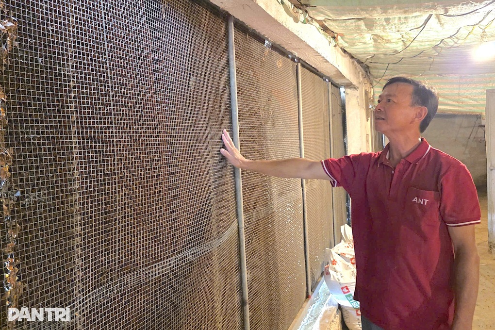 Khởi nghiệp với chuồng gà 5 triệu đồng, người đàn ông có nguồn thu chục tỷ - 2