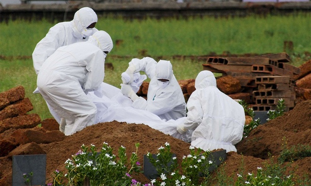 Ấn Độ phát hiện kháng thể với virus Nipah ở 2 loài dơi - 1 Ấn Độ phát hiện kháng thể với virus Nipah ở 2 loài dơi - 1