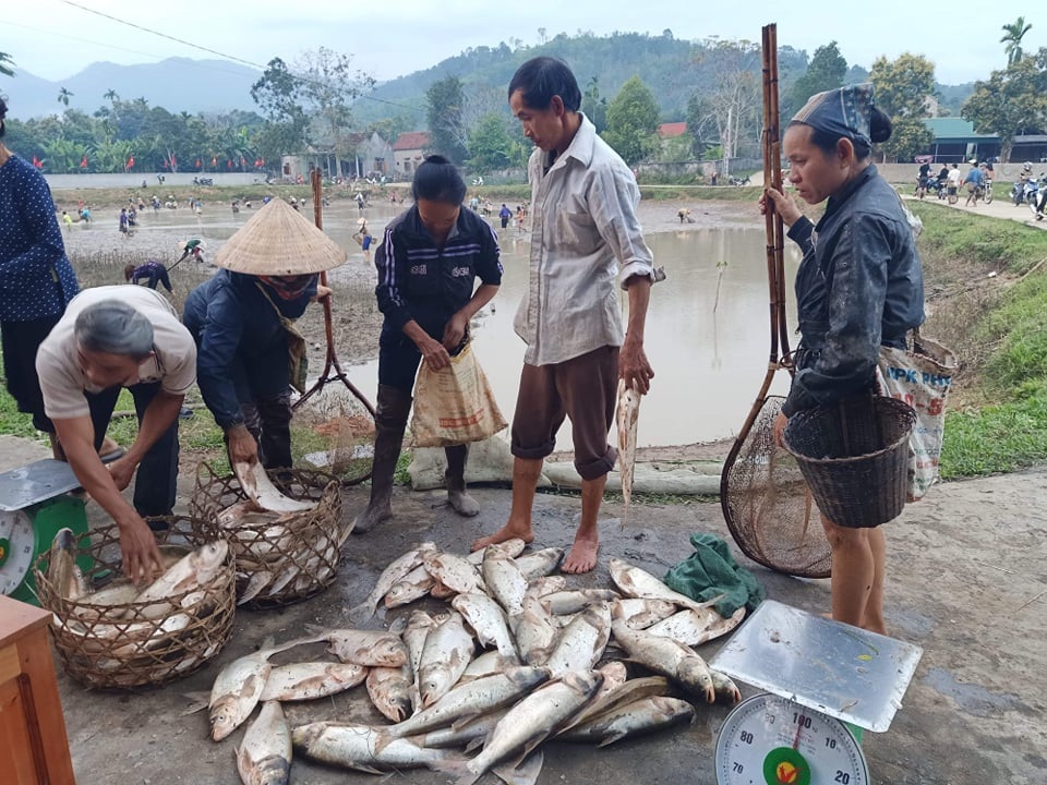 Món cá nướng, “linh hồn” không thể thiếu trong ngày Tết của người Thái - 2 Món cá nướng, “linh hồn” không thể thiếu trong ngày Tết của người Thái - 2