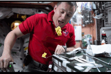 Các phi hành gia ăn uống như thế nào trong môi trường không trọng lực?