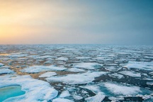 "Ngón tay tử thần" của đại dương giết chết tất cả những gì nó chạm vào