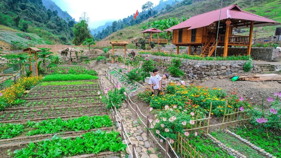 Bỏ Hà Nội về quê, vợ chồng công nhân đổi đời, thu nhập trăm triệu/tháng - 6 Bỏ Hà Nội về quê, vợ chồng công nhân đổi đời, thu nhập trăm triệu/tháng - 6