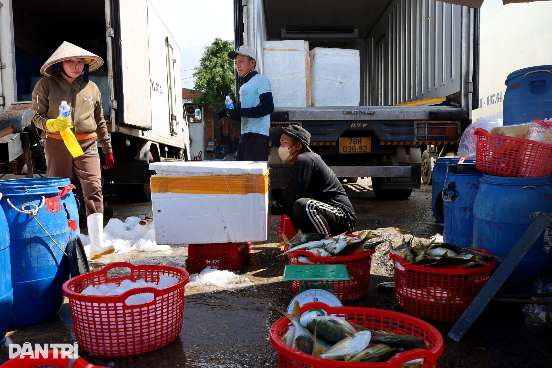 Chấp nhận lỗ cả trăm triệu đồng, ngư dân vượt sóng về tránh bão Kalmaegi - 6 Chấp nhận lỗ cả trăm triệu đồng, ngư dân vượt sóng về tránh bão Kalmaegi - 6