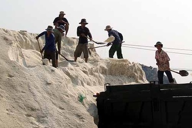 Chật vật vì muối rớt giá