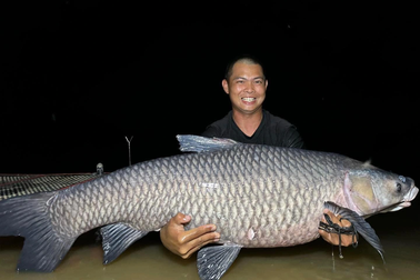 Cần thủ câu được trắm đen nặng 40kg sau 3 năm kiên trì săn "thủy quái"