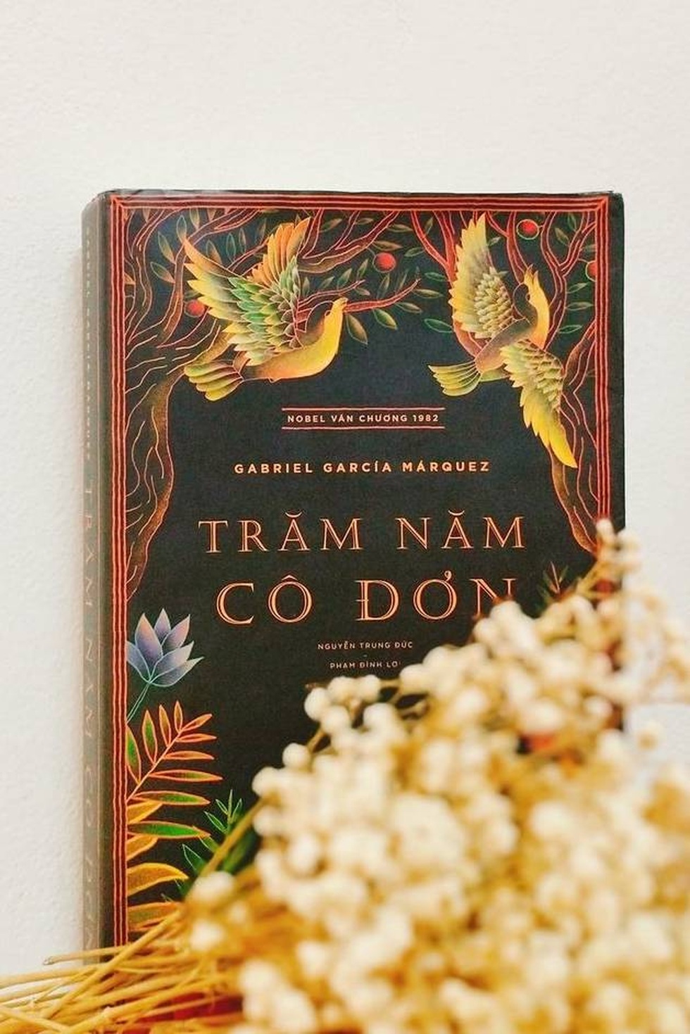 Trăm năm cô đơn cùng Gabriel García Márquez - 3 Trăm năm cô đơn cùng Gabriel García Márquez - 3