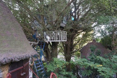 Kỳ lạ quần thể nhà xây dựng trên cây cổ thụ trăm tuổi "độc nhất" Hà Nội