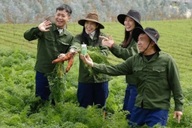 Quảng cáo sai sự thật, người nổi tiếng sẽ không thể đứng ngoài pháp luật