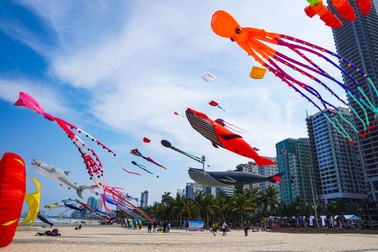 Mãn nhãn diều khổng lồ nặng 10kg bay lượn ở biển Đà Nẵng