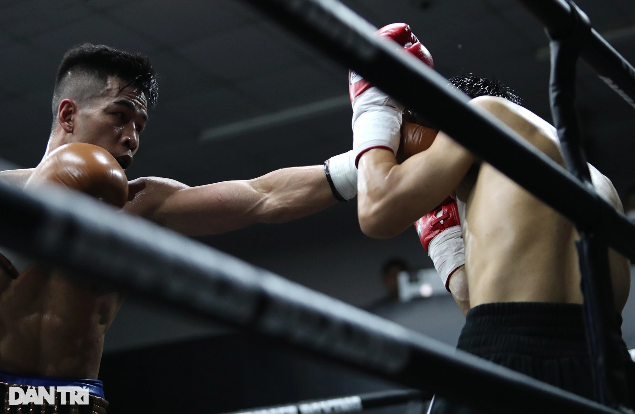 Nhà vô địch WBC châu Á Trần Văn Thảo hạ knock-out tay đấm Thái Lan - 9 Nhà vô địch WBC châu Á Trần Văn Thảo hạ knock-out tay đấm Thái Lan - 9