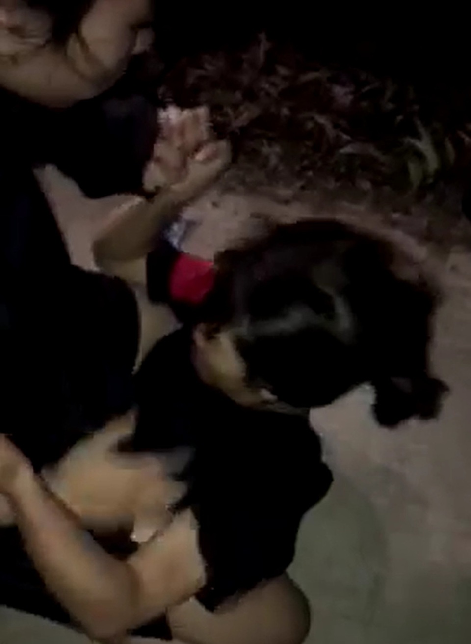 Sóc Trăng: Nữ sinh lớp 8 đánh nhau khi đi uống trà sữa - 1 Sóc Trăng: Nữ sinh lớp 8 đánh nhau khi đi uống trà sữa - 1