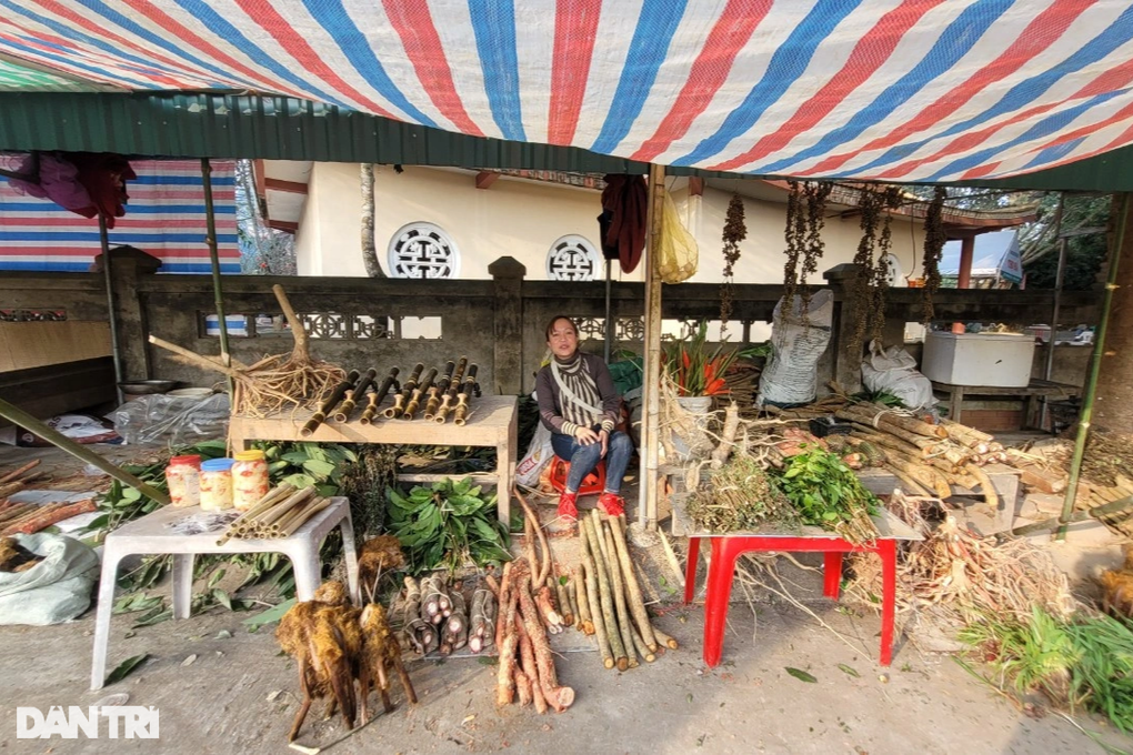 Hàng nghìn du khách lên rừng cầu may ngày đầu năm mới - 7 Hàng nghìn du khách lên rừng cầu may ngày đầu năm mới - 7