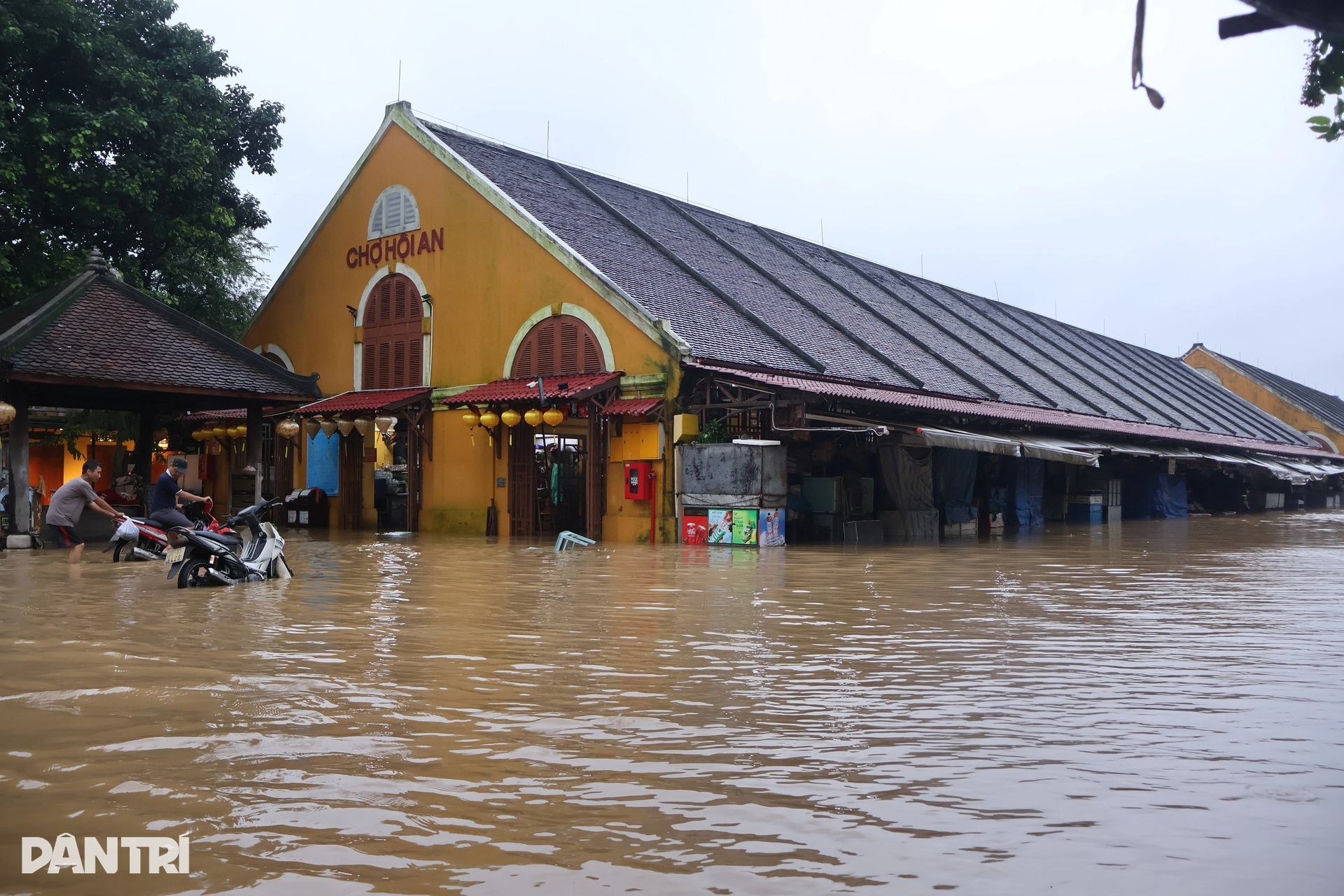 Lũ lên nhanh, người dân phố cổ Hội An khẩn trương sơ tán trong đêm - 7 Lũ lên nhanh, người dân phố cổ Hội An khẩn trương sơ tán trong đêm - 7
