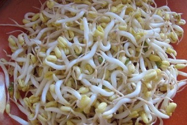 Giá đỗ ủ hóa chất Trung Quốc xuất hiện tại Hà Nội