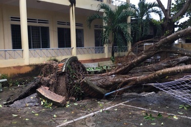 Đắk Lắk cho học sinh nghỉ học khẩn cấp để tránh tác hại cơn bão số 12