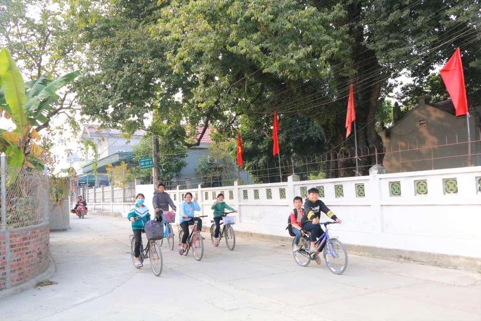 Cụ thị gốc chục người ôm không xuể sống qua 8 thế kỷ ở Ninh Bình - 10 Cụ thị gốc chục người ôm không xuể sống qua 8 thế kỷ ở Ninh Bình - 10