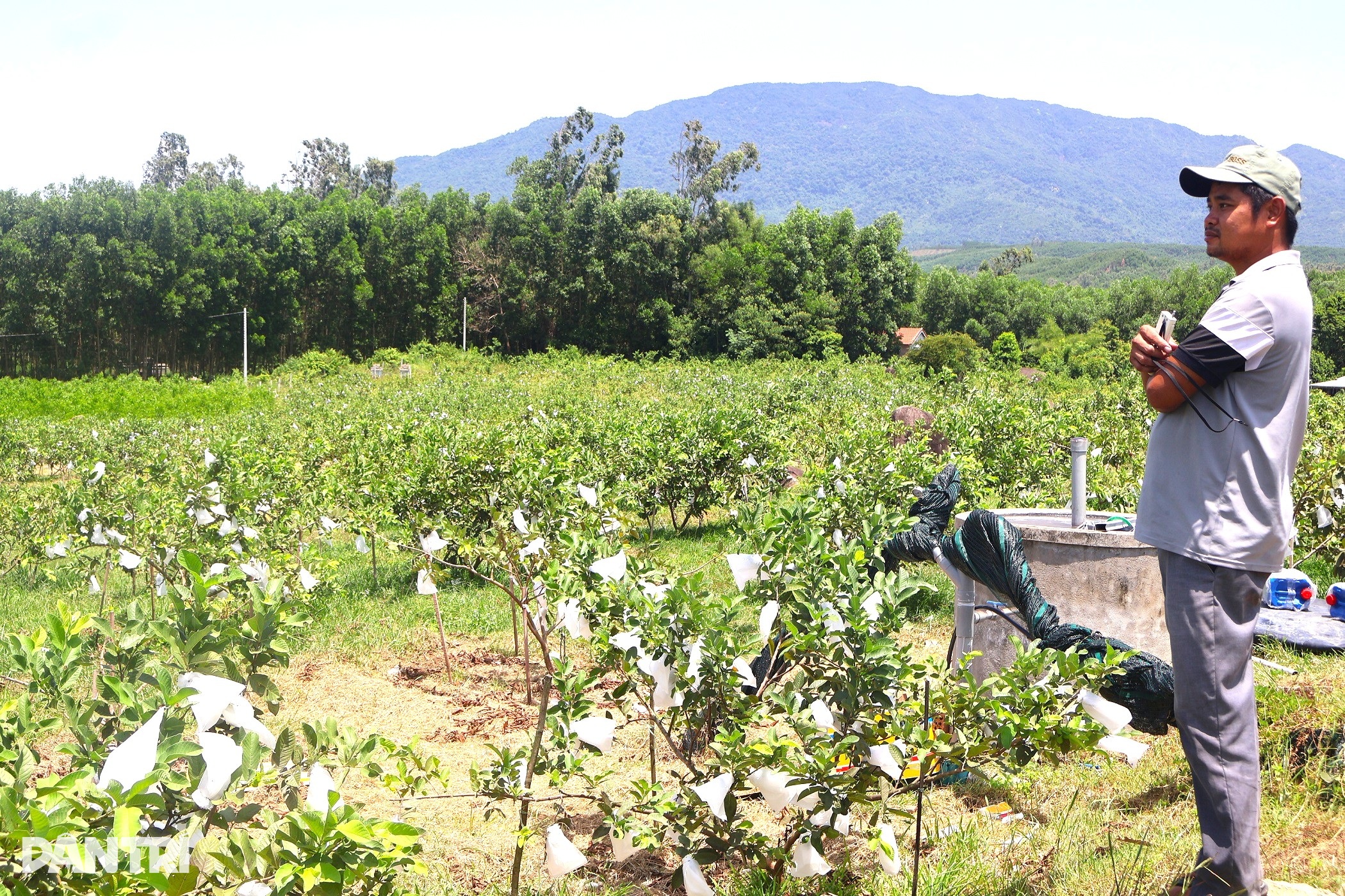Đánh bạc với đất cằn, 8X trở thành triệu phú - 1