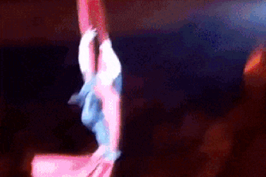 Kinh hoàng nữ nghệ sĩ xiếc rơi ngã từ độ cao 4,5 mét