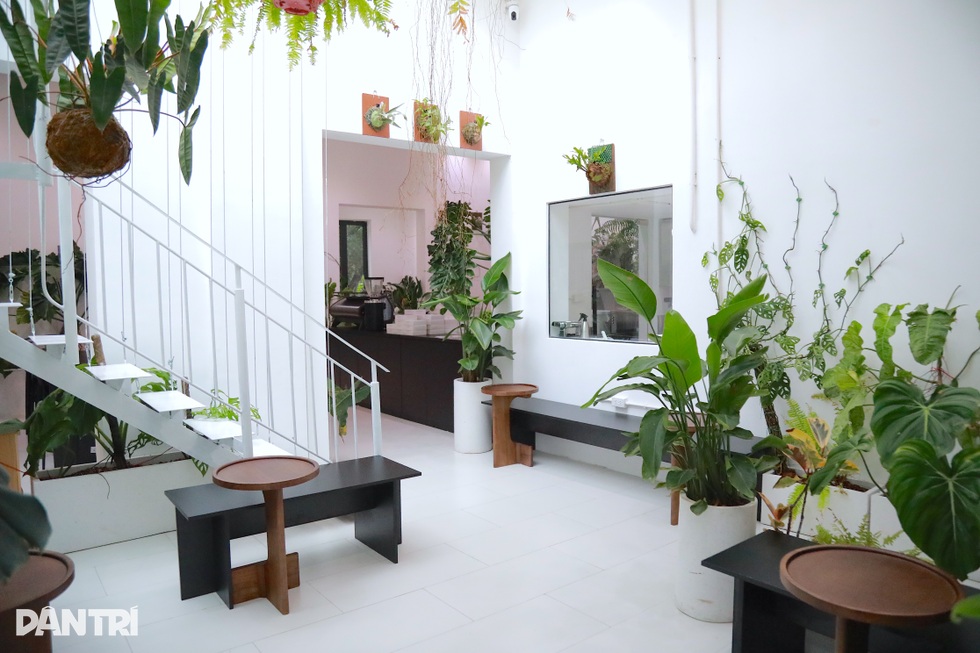 Quán “cà phê nhà giàu” trong ngõ ở Hà Nội, bán 750.000 đồng/ly - 9