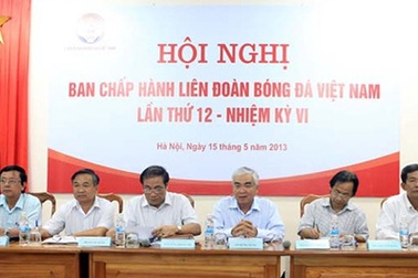 Đại hội VFF hoãn đến năm 2014